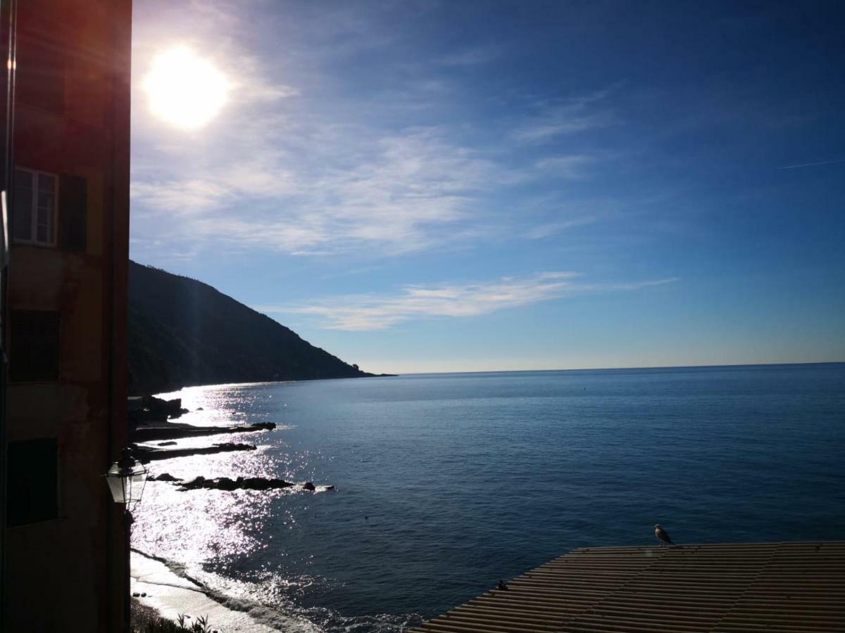 Le Finestre Sul Mare Daire Camogli Dış mekan fotoğraf