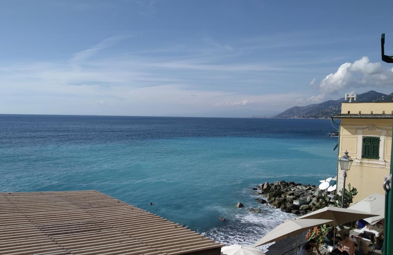 Le Finestre Sul Mare Daire Camogli Dış mekan fotoğraf